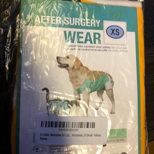After surgery dog wear
